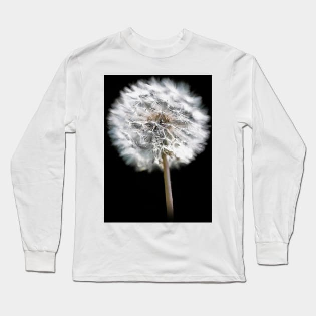 Dandelion Seed Head Long Sleeve T-Shirt by GrahamPrentice